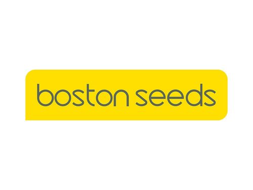 Boston Seeds