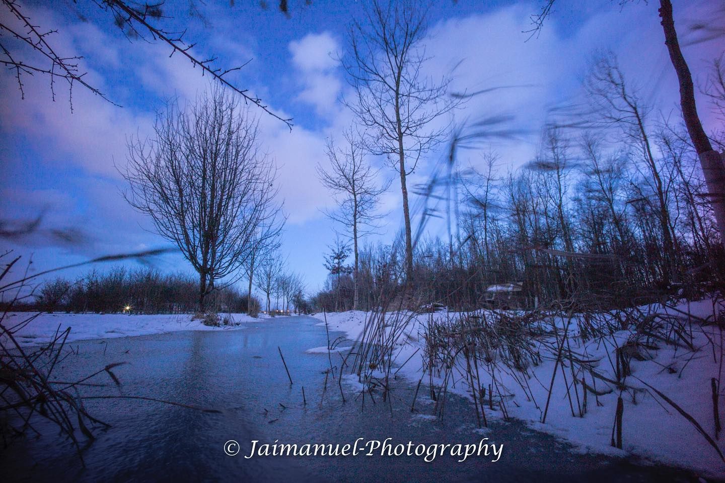 A frozen dyke and bare trees under a blue winter sky
