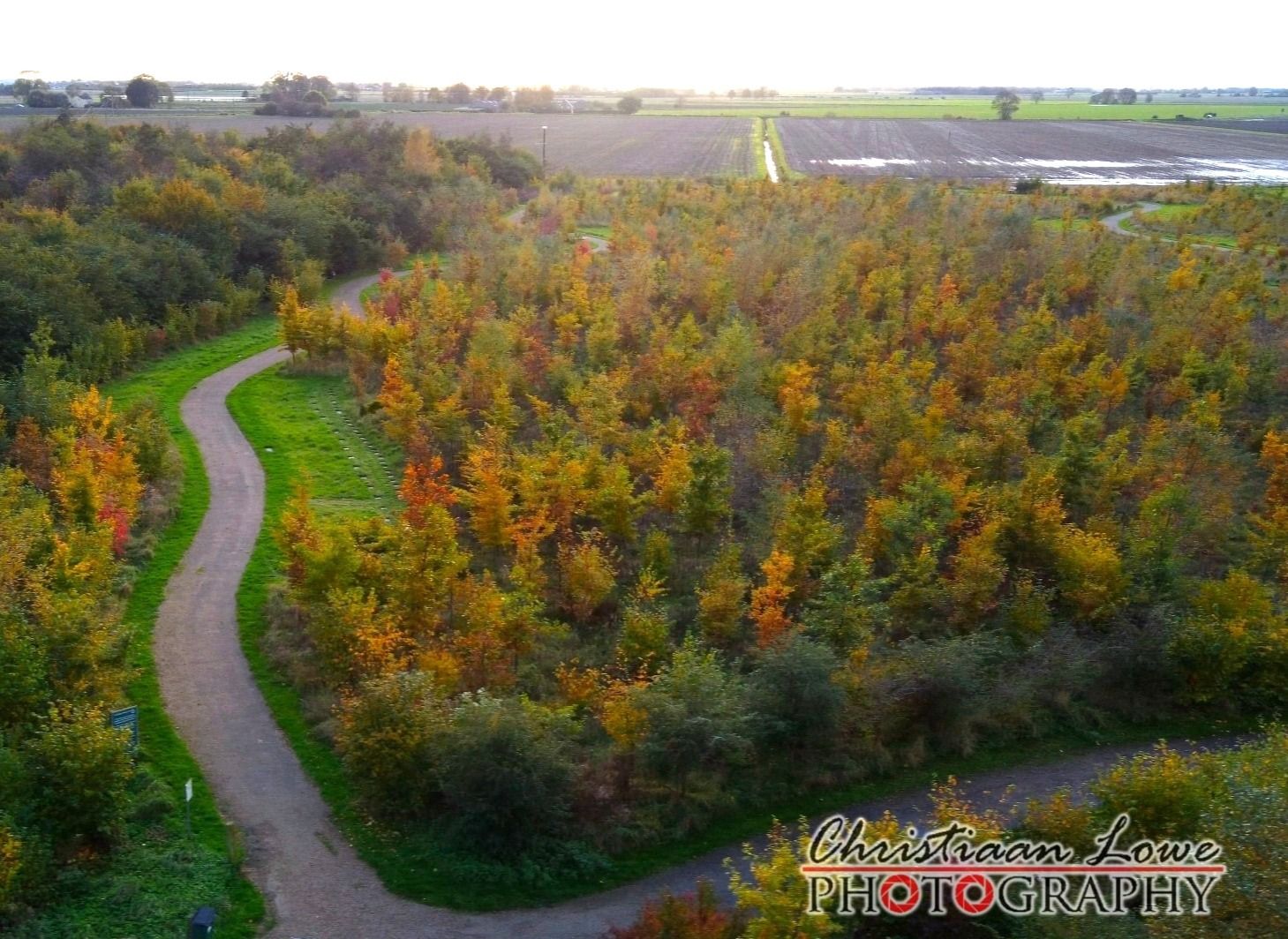 Aerial view of the wildflower glades at Beech Wood green burial site