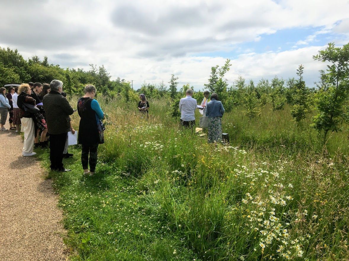 The site in June 2021