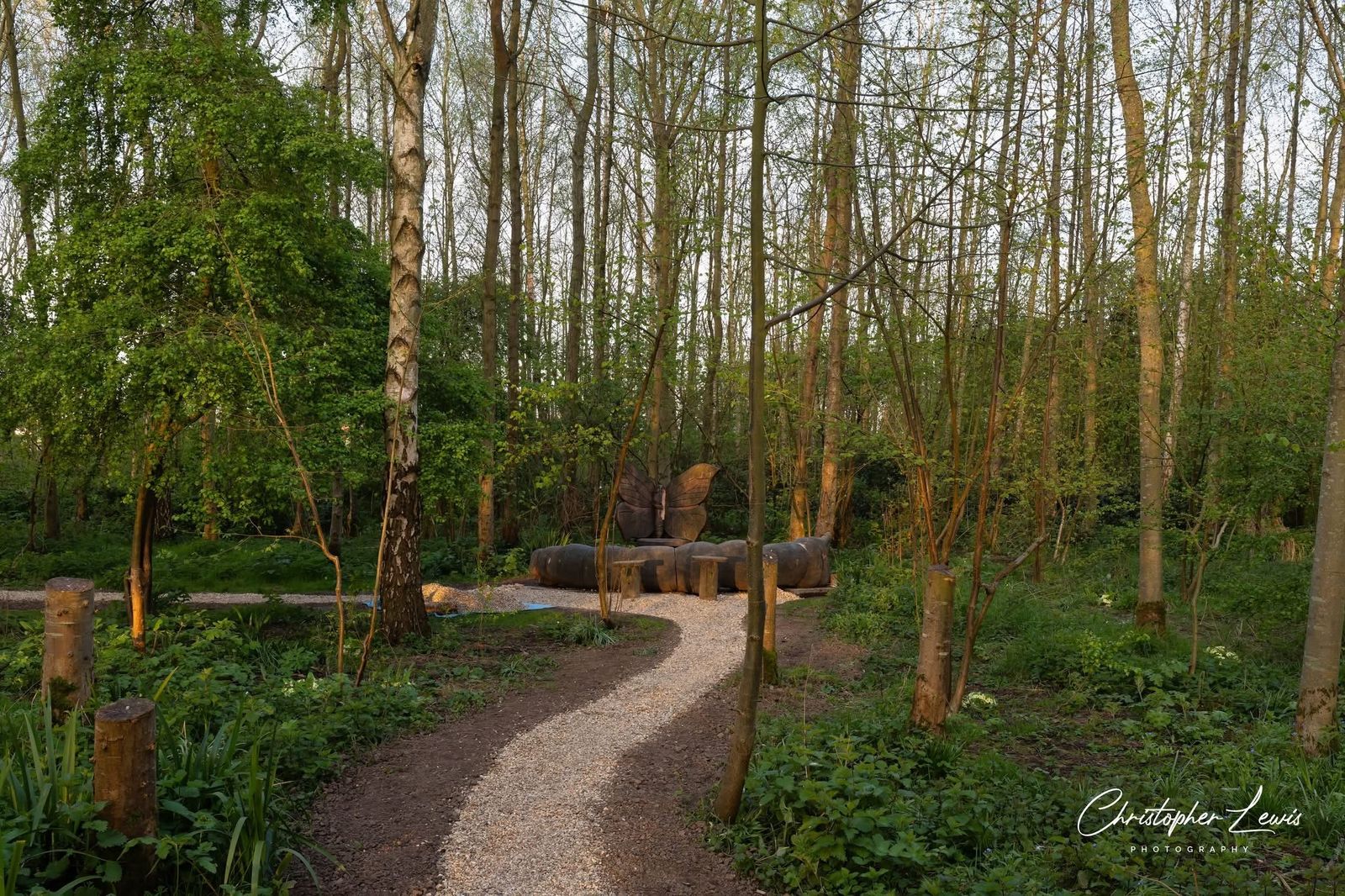 A newly finished path through the trees leading to the Butterfly Throne