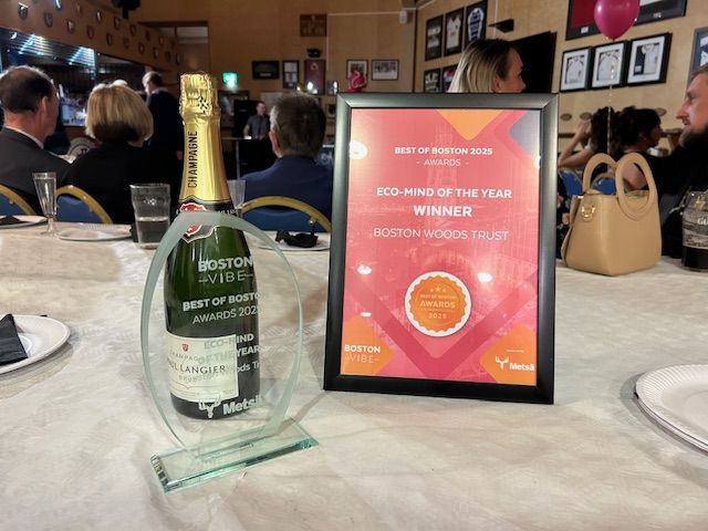The Eco-mind of the Year award on a table