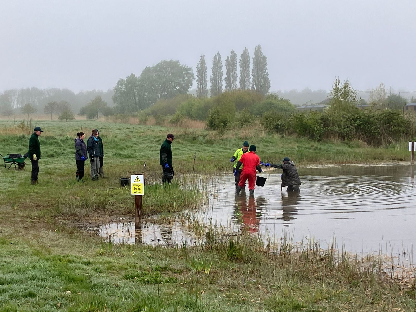 Planting up the ponds at Jenny's Wood