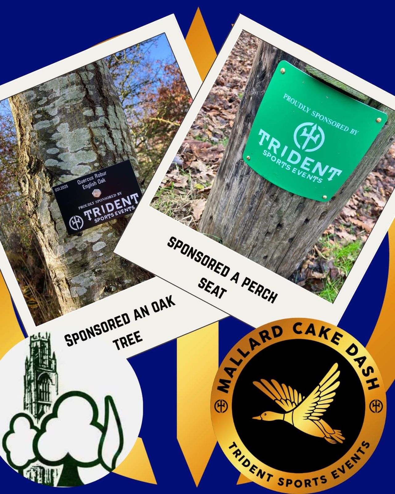 Trident race team message: sponsored an oak tree and a perch seat