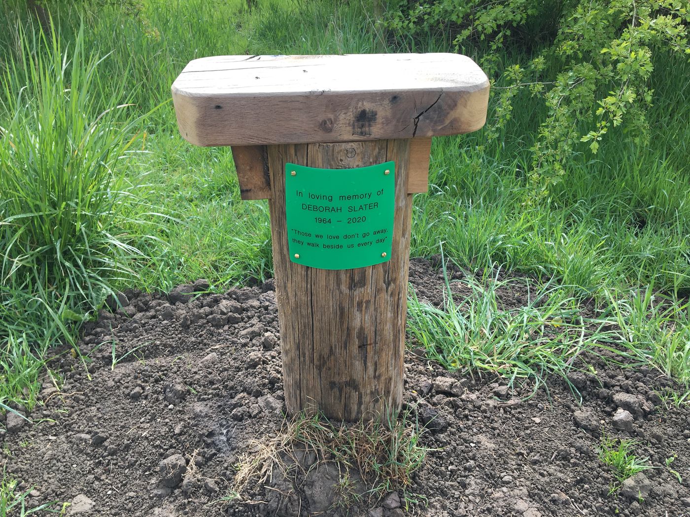 A perch seat in the woods